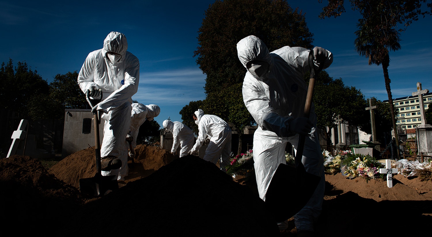  Foto: David Ara&uacute;jo - RTP  