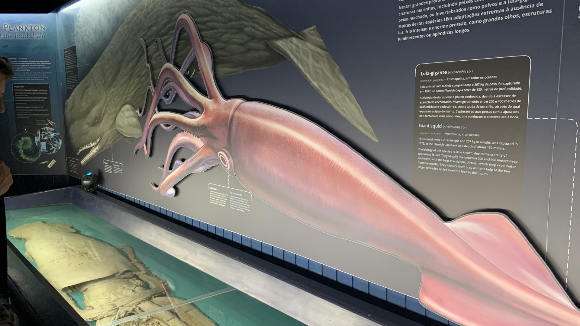  Foto: Arlinda Brand&atilde;o - Antena 1 