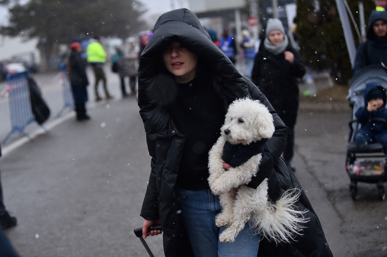  Clodagh Kilcoyne - Reuters 