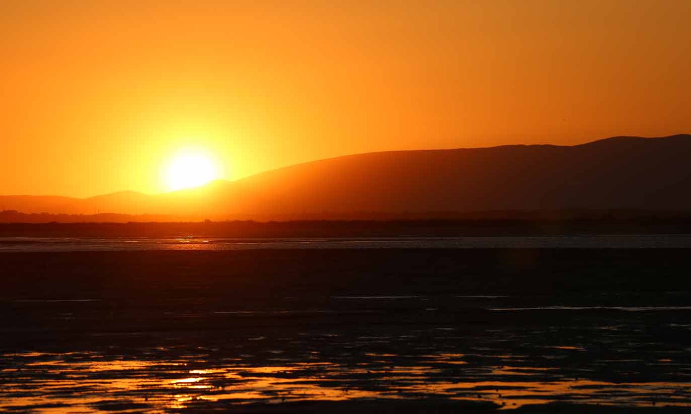 Onda de Calor atinge regiões a sul do Tejo, Mora chegou aos 40,3ºC