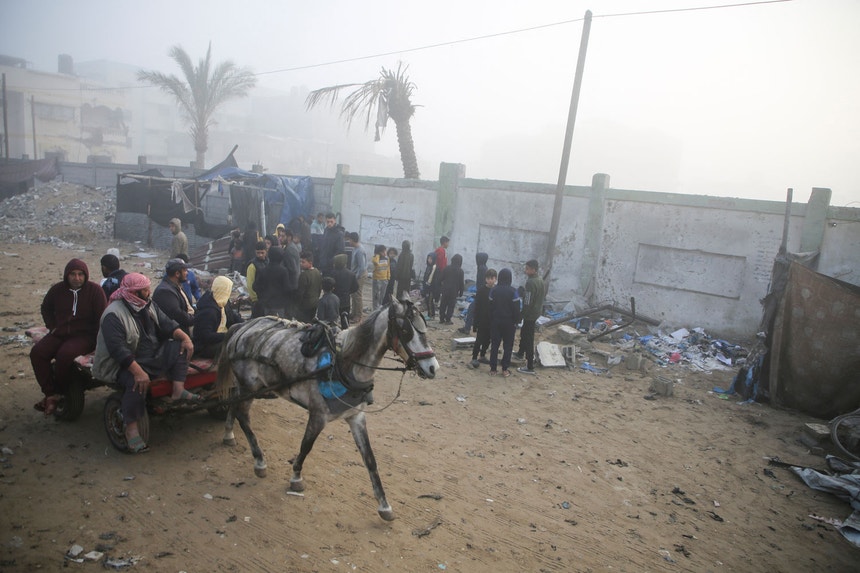 Imagem relacionada com a notícia: Embaixadora da Palestina "faz figas" para que se cumpra cessar-fogo