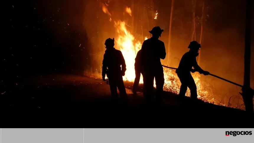 Portugal junta-se a 48 países para reforçar prevenção contra incêndios