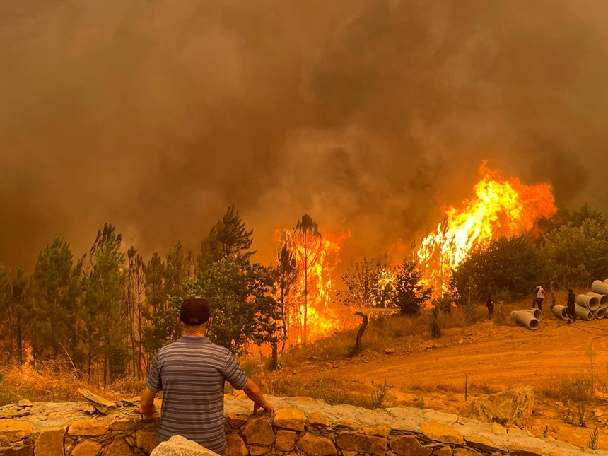 Incêndios. Portugal continua sem apostar numa "verdadeira política de prevenção"