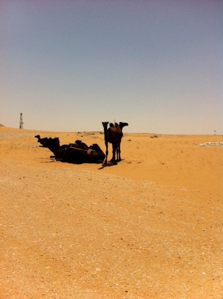  Enviada por Hamilton Oliveira - Dormed&aacute;rios  