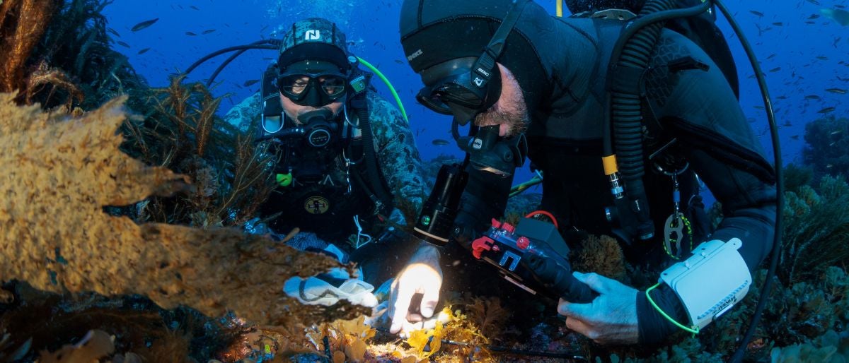MNE inaugura na ONU exposição com exemplos de sucesso na proteção dos oceanos