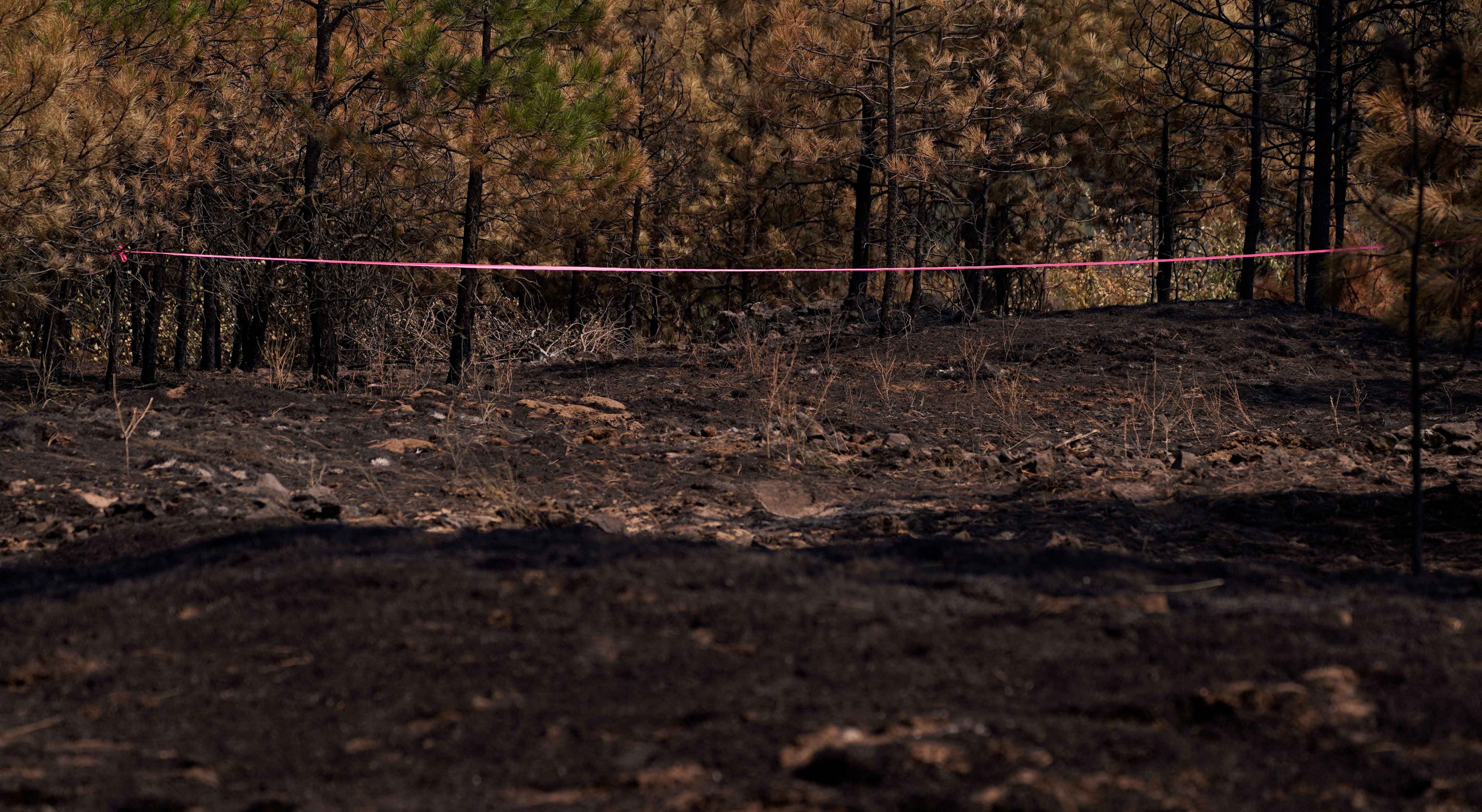 EUA declaram estado de emergência para combater incêndios descontrolados no noroeste