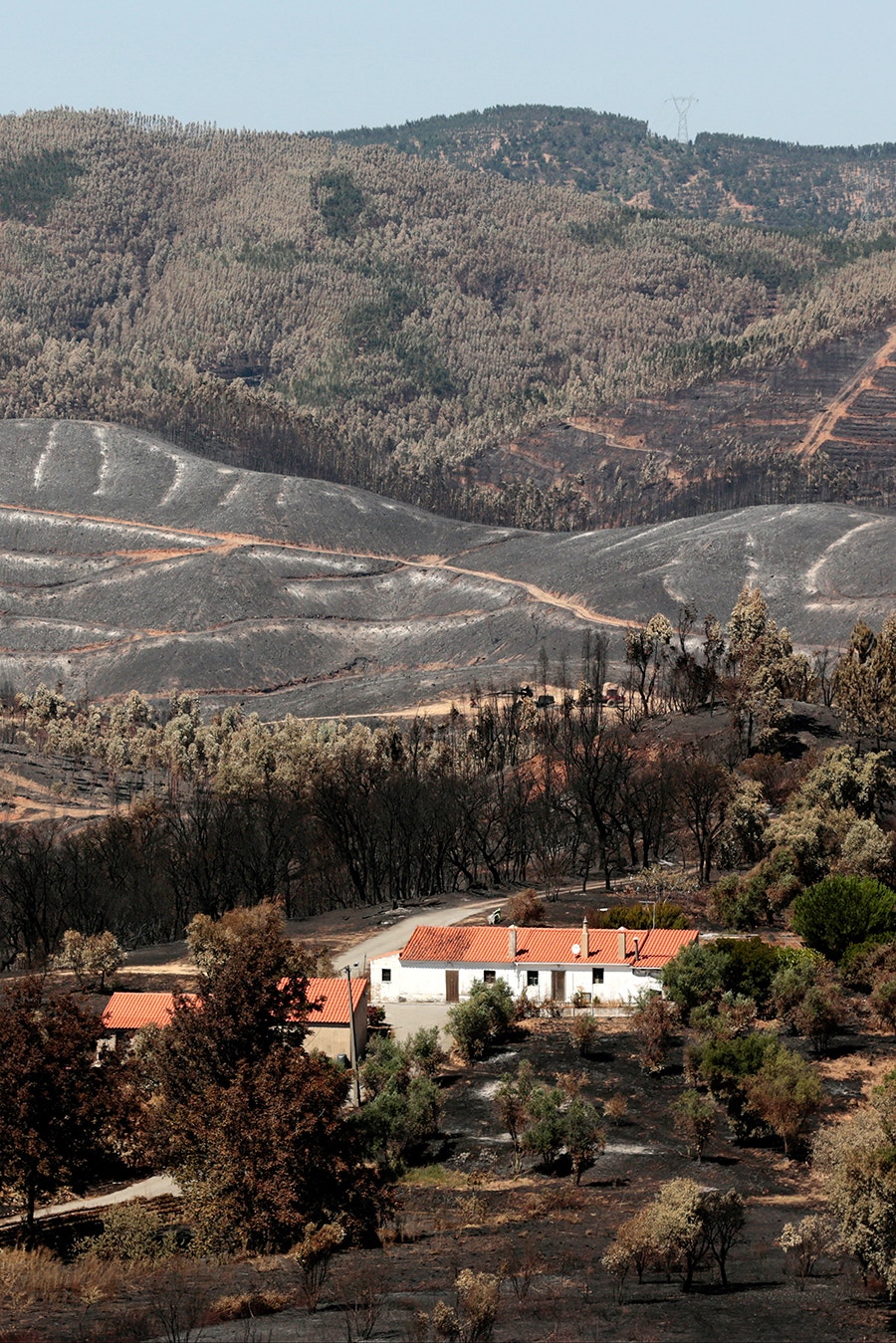  Brejo, Monchique /Filipe Farinha - Lusa 