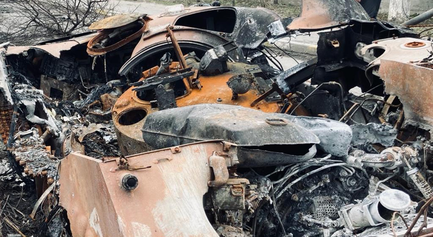  Foto: David Ara&uacute;jo - RTP 