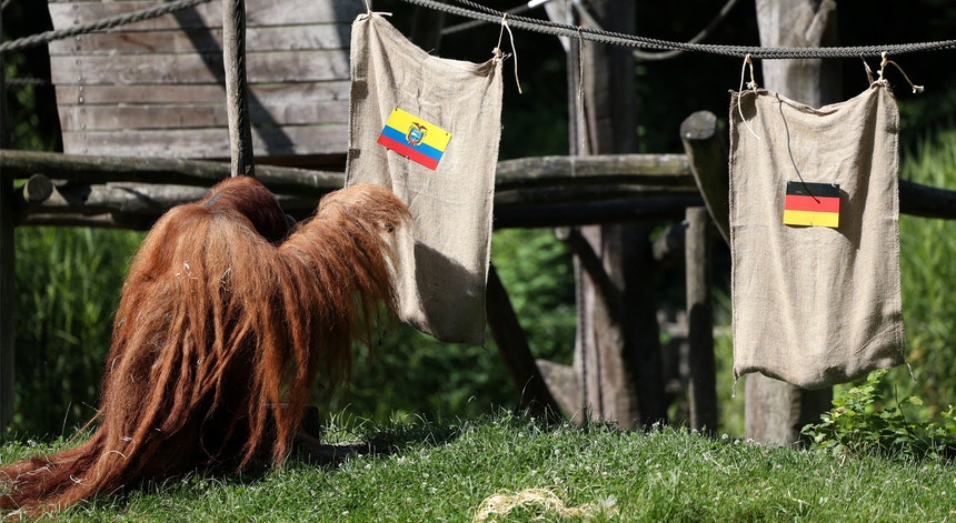 Imagem de Equador - Alemanha