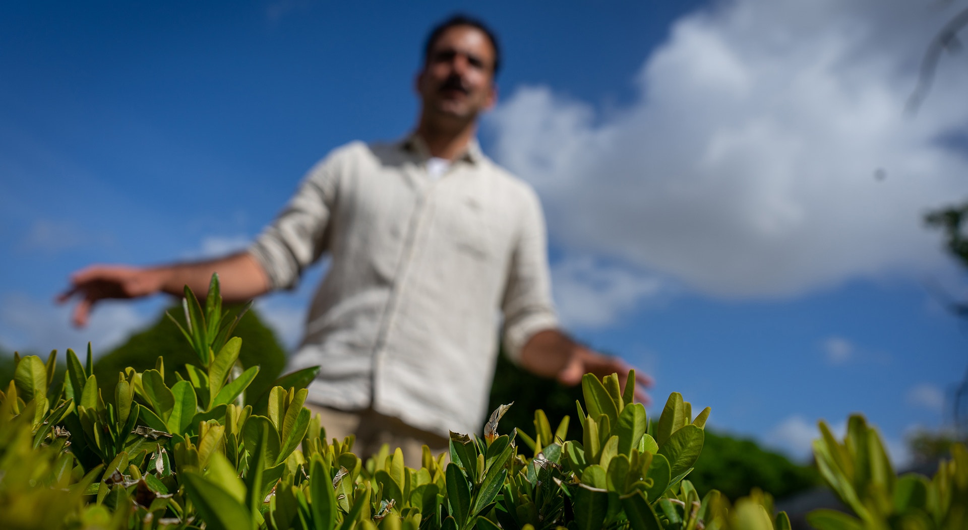  Foto: Rodrigo Lobo - RTP 