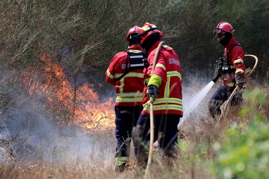 Imagem de Abrantes. Incêndio florestal combatido por 500 bombeiros