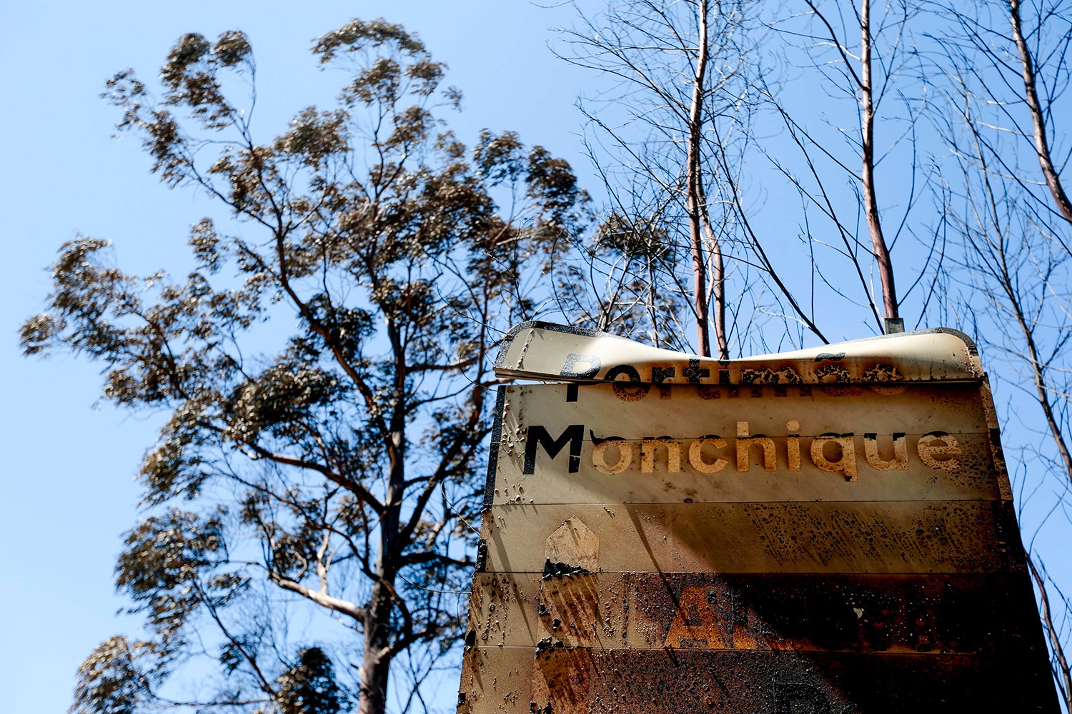  Monchique /Filipe Farinha - Lusa 