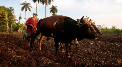 Jorge Luis Banos, Reuters