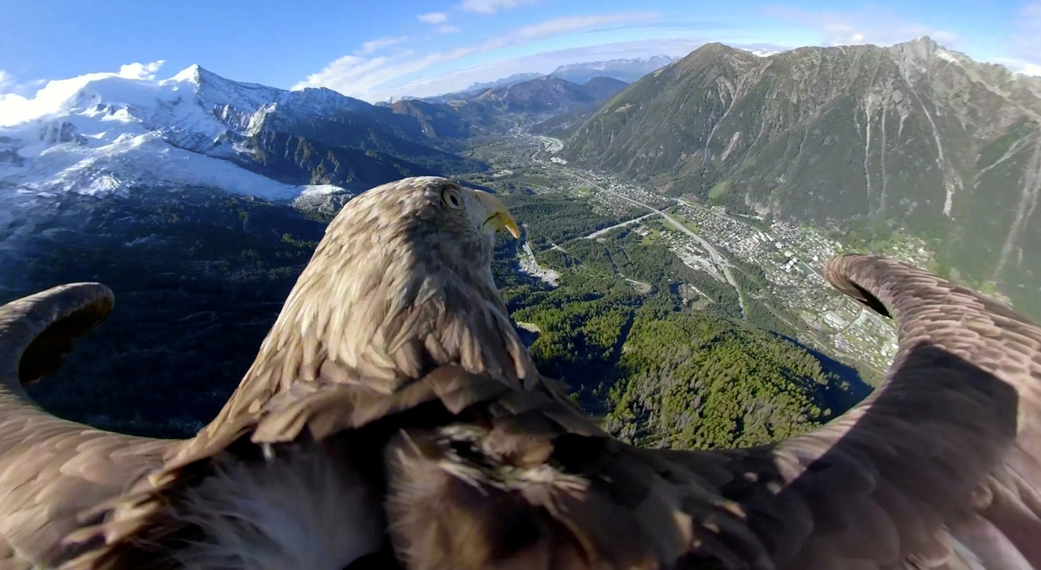  Montanhas em Chamonix, Fran&ccedil;a vistos de uma &aacute;guia. 8 de outubro de 2019 /Funda&ccedil;&atilde;o Eagle Wings/Chopard/Handout via Reuters 
