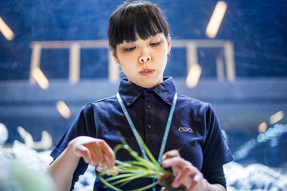  Pedro A. Pina / Ocean&aacute;rio  