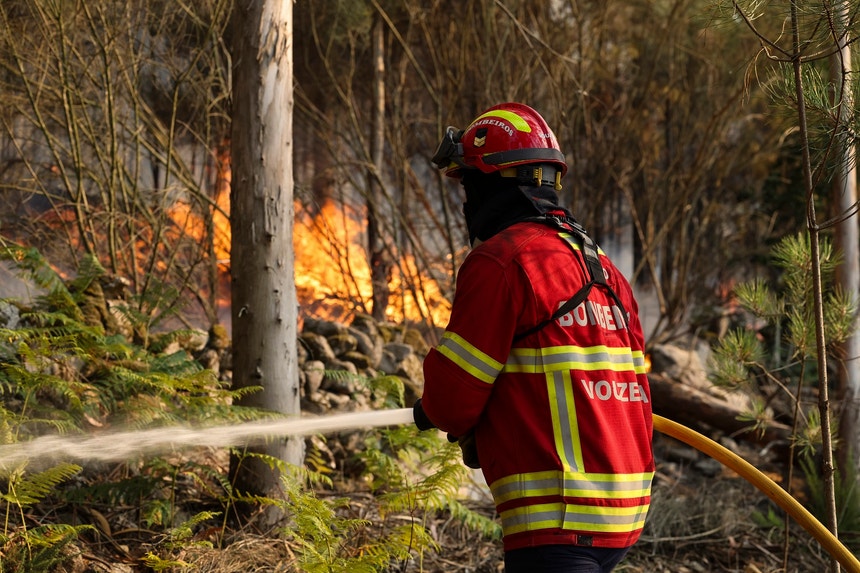 Imagem de Incêndios. Mais de 60 concelhos de 10 distritos em perigo máximo