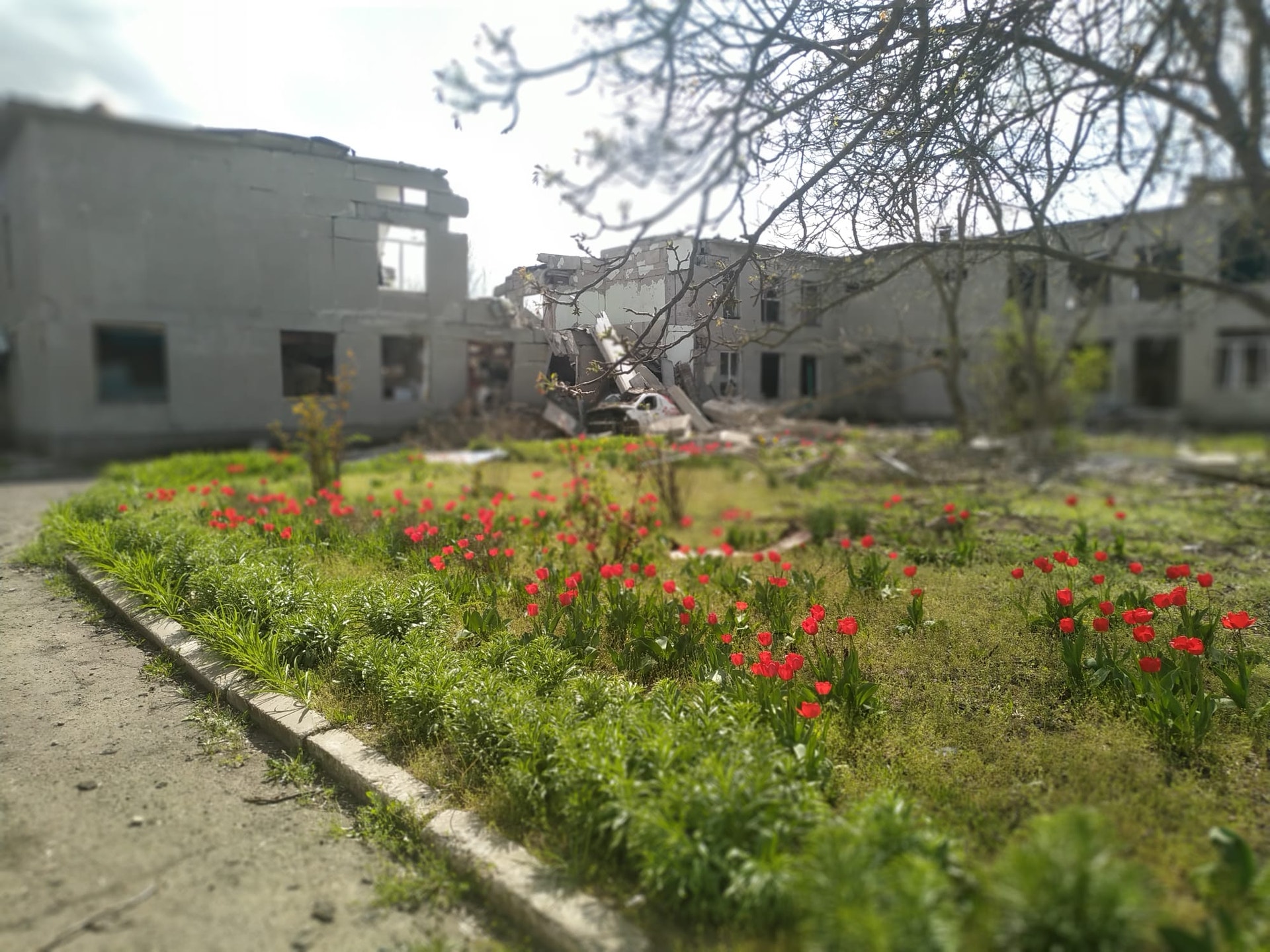  Ant&oacute;nio Mateus - RTP 