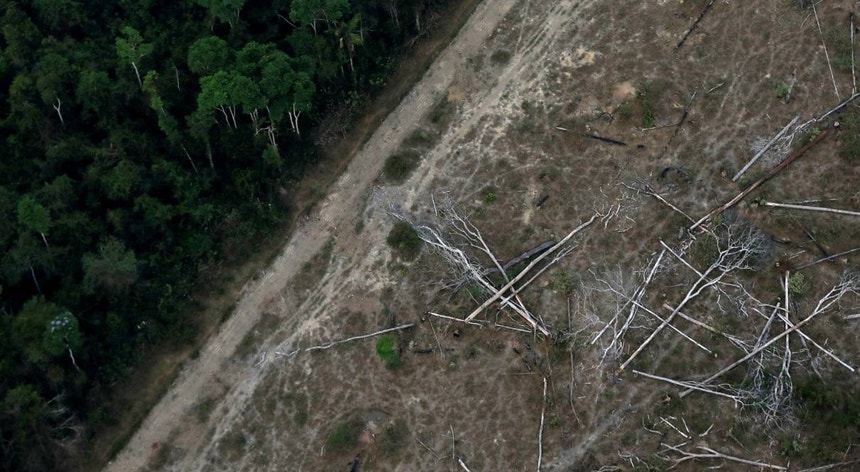 Imagem aérea de uma área desflorestada da Amazónia 
