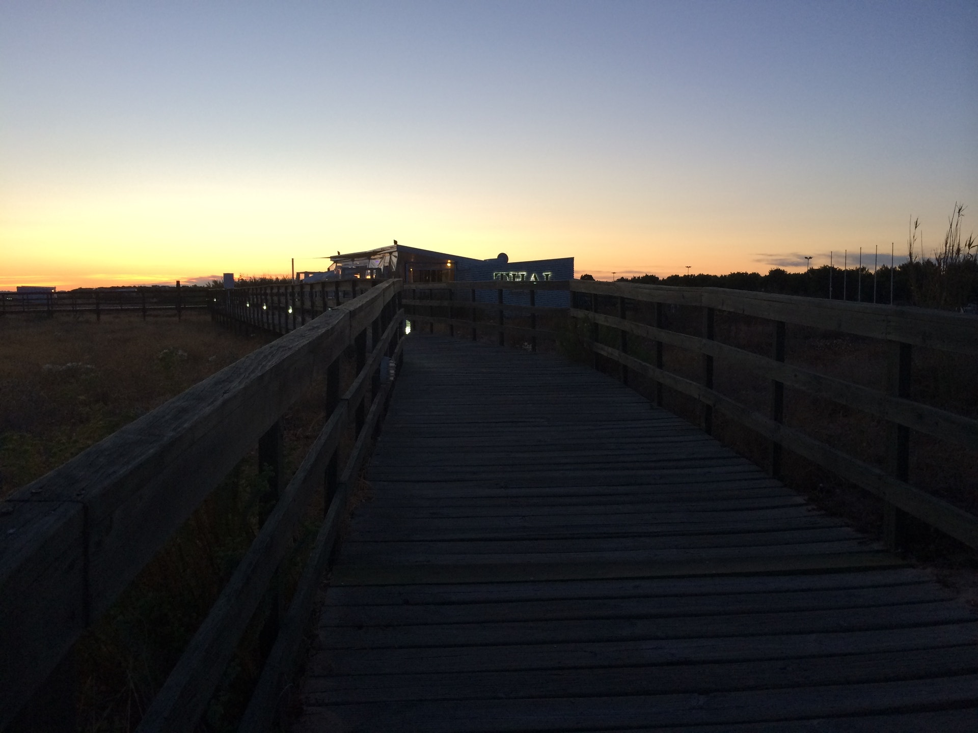  Enviada por Andreia Duarte 