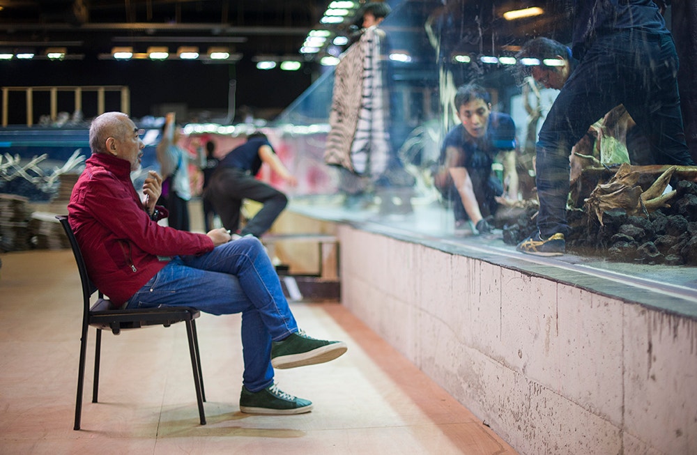  Pedro A. Pina / Ocean&aacute;rio  