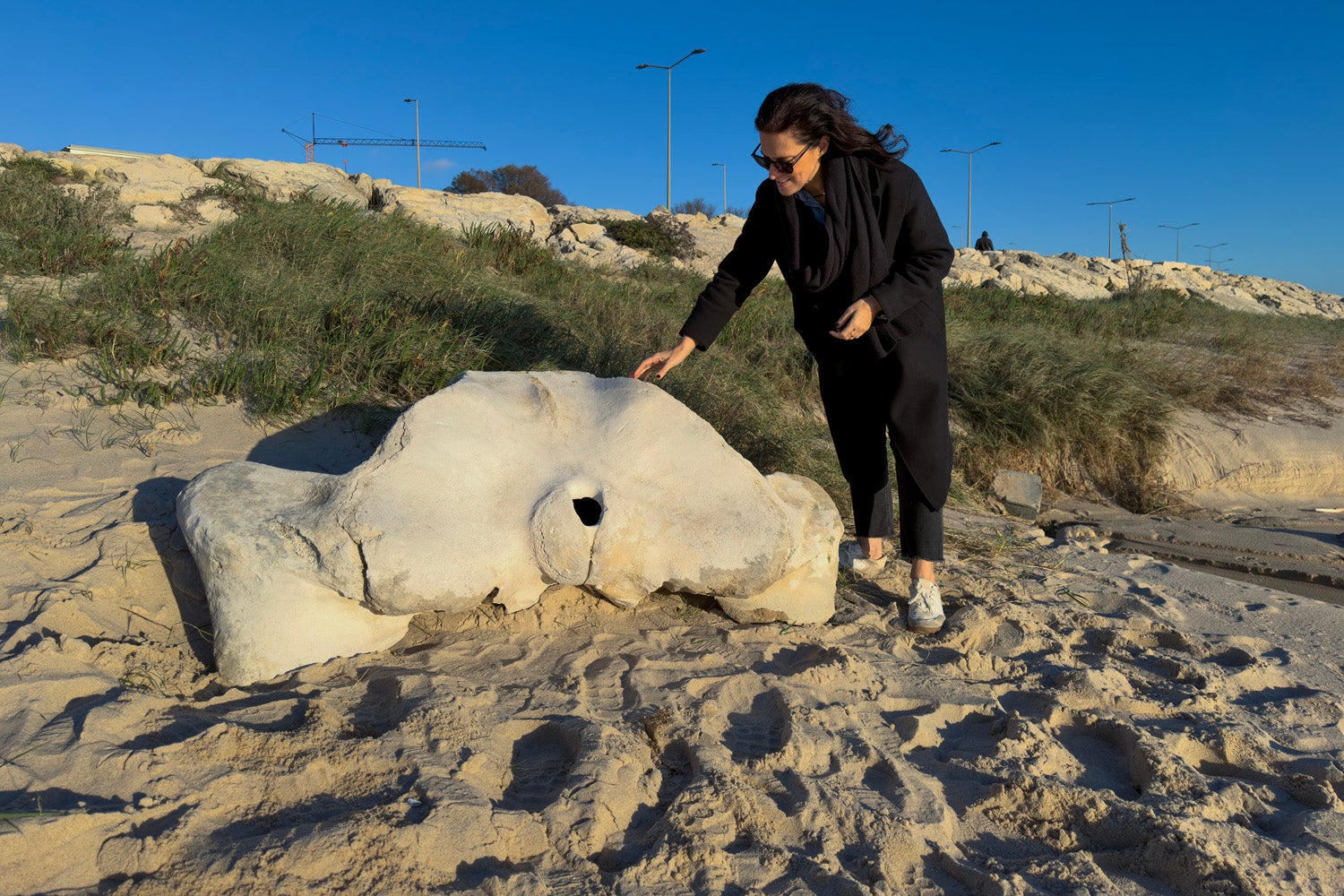 Whale bone thousands of years old washed up on Buarcos beach in Figueira da Foz