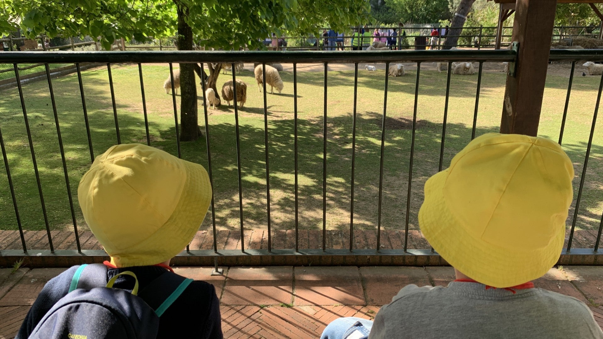 Quinta Pedagógica dos Olivais changes its name to celebrate its 30th anniversary