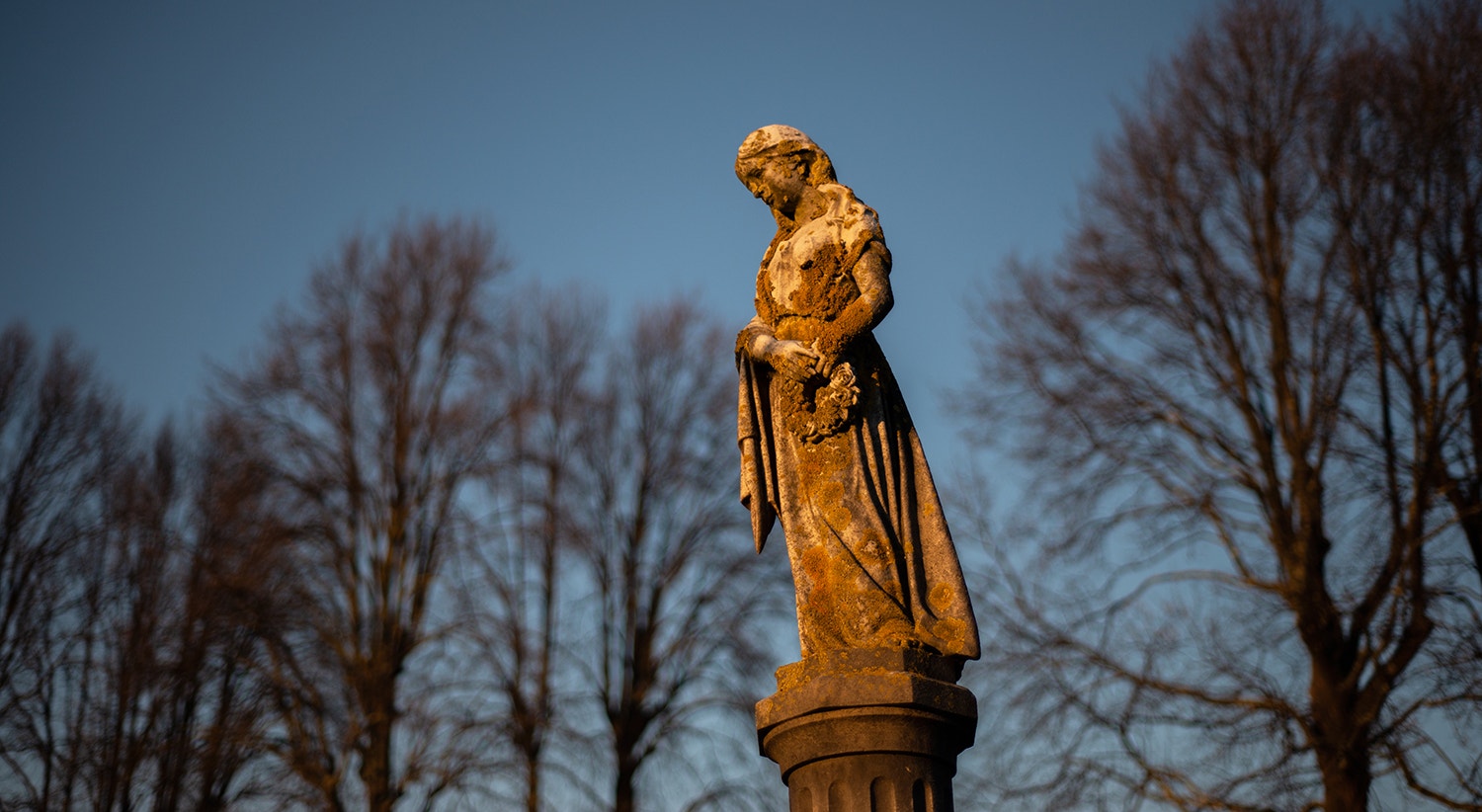  Foto: David Ara&uacute;jo - RTP  