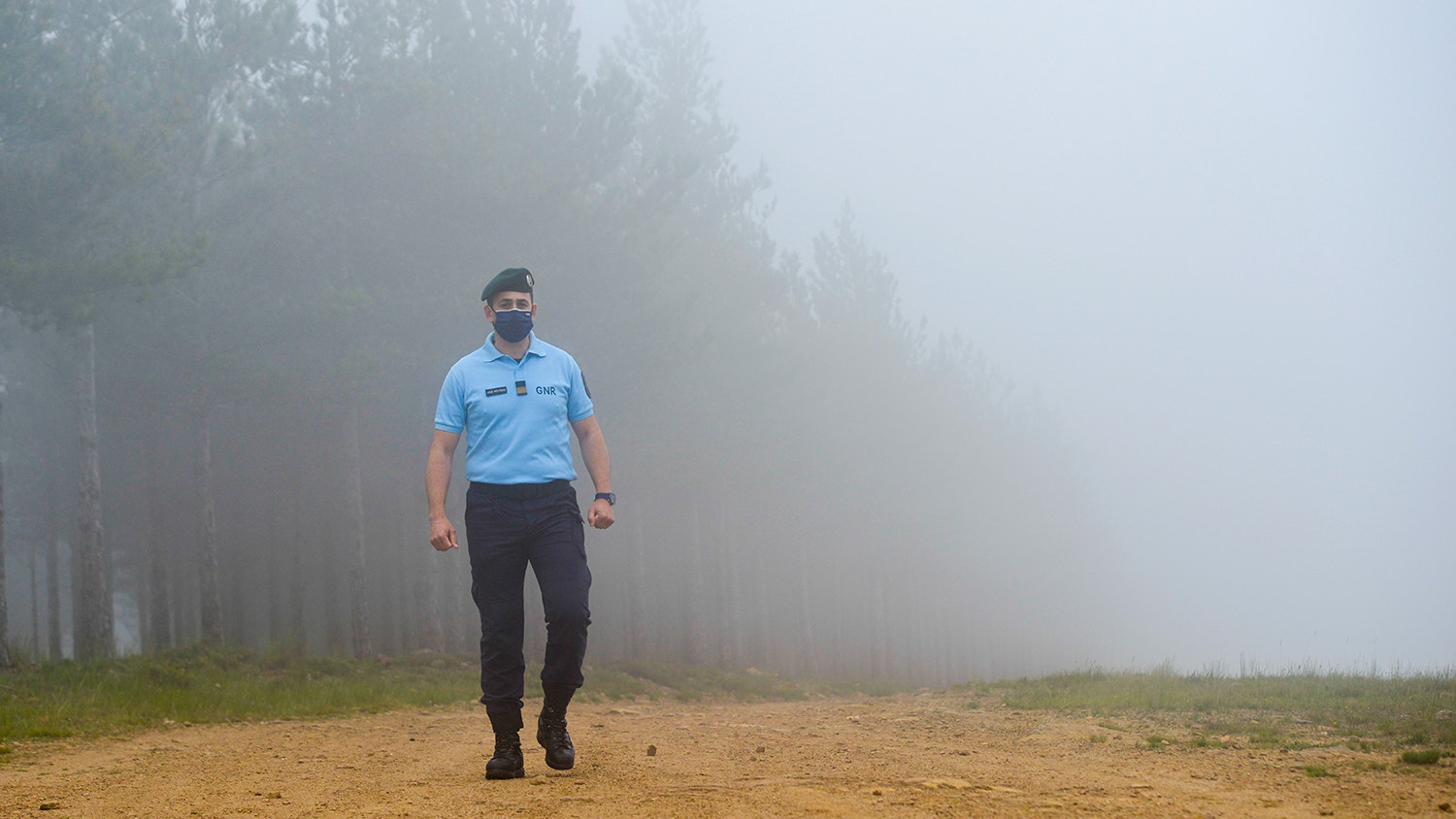  Foto: David Ara&uacute;jo - RTP 