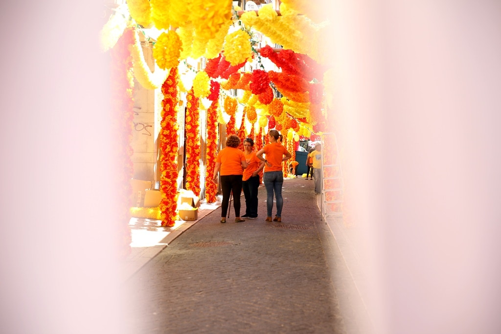  Nuno Patr&iacute;cio - RTP 