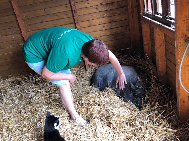  Andrea Neves - Antena 1 