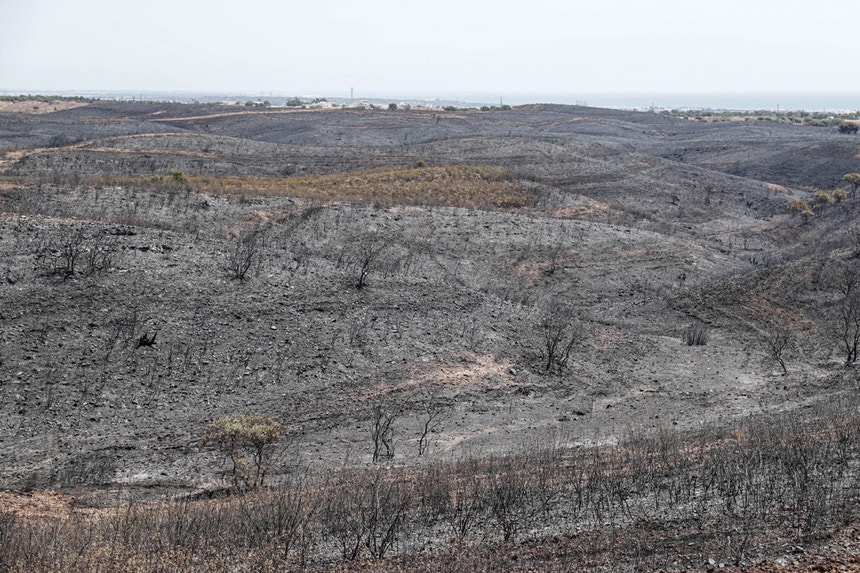 Fogo que deflagrou em Castro Marim com 9.000 hectares de ...