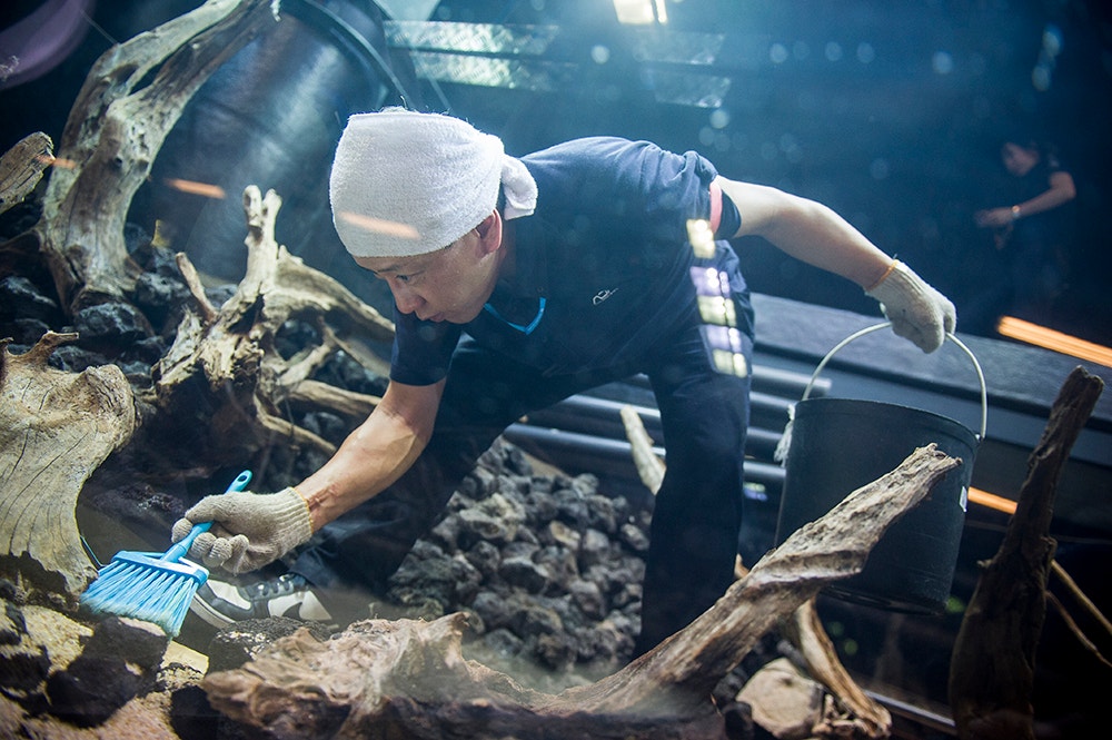  Pedro A. Pina / Ocean&aacute;rio  