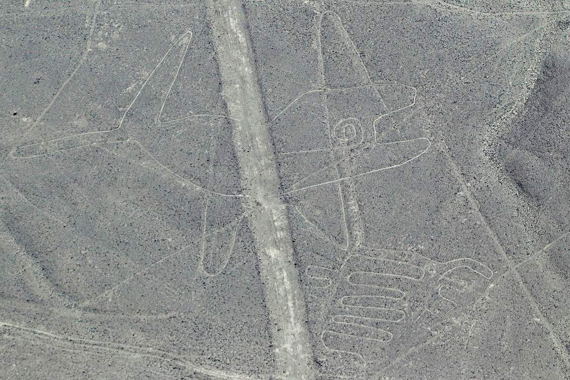  Baleia das Linhas de Nazca | Enrique Castro-Mendivil - Reuters  