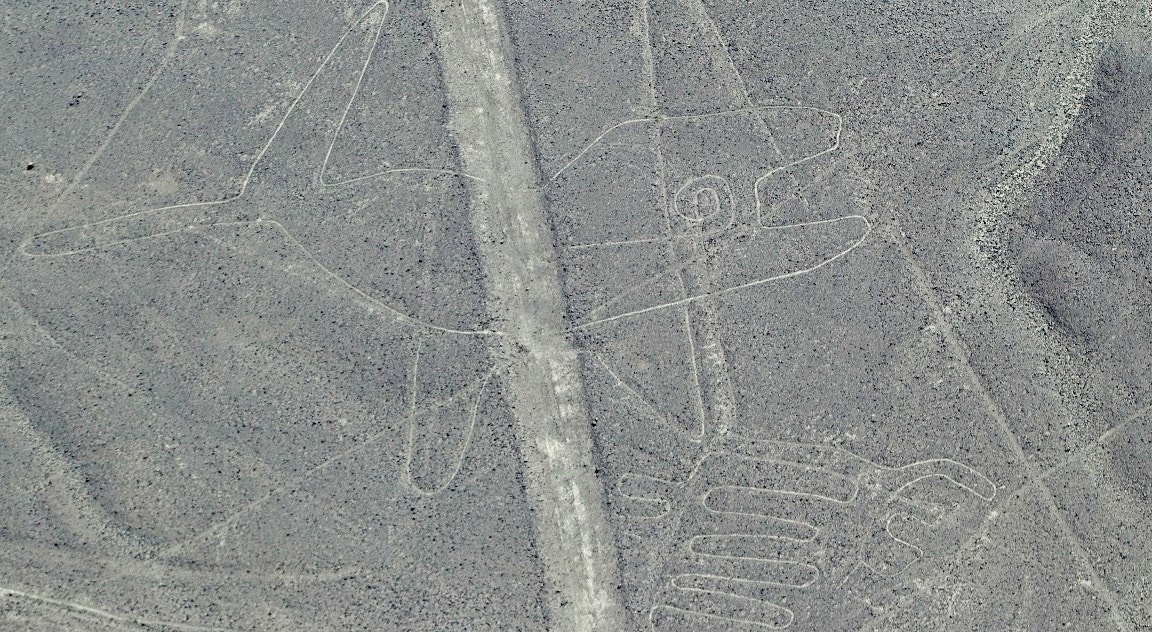  Baleia das Linhas de Nazca | Enrique Castro-Mendivil - Reuters  