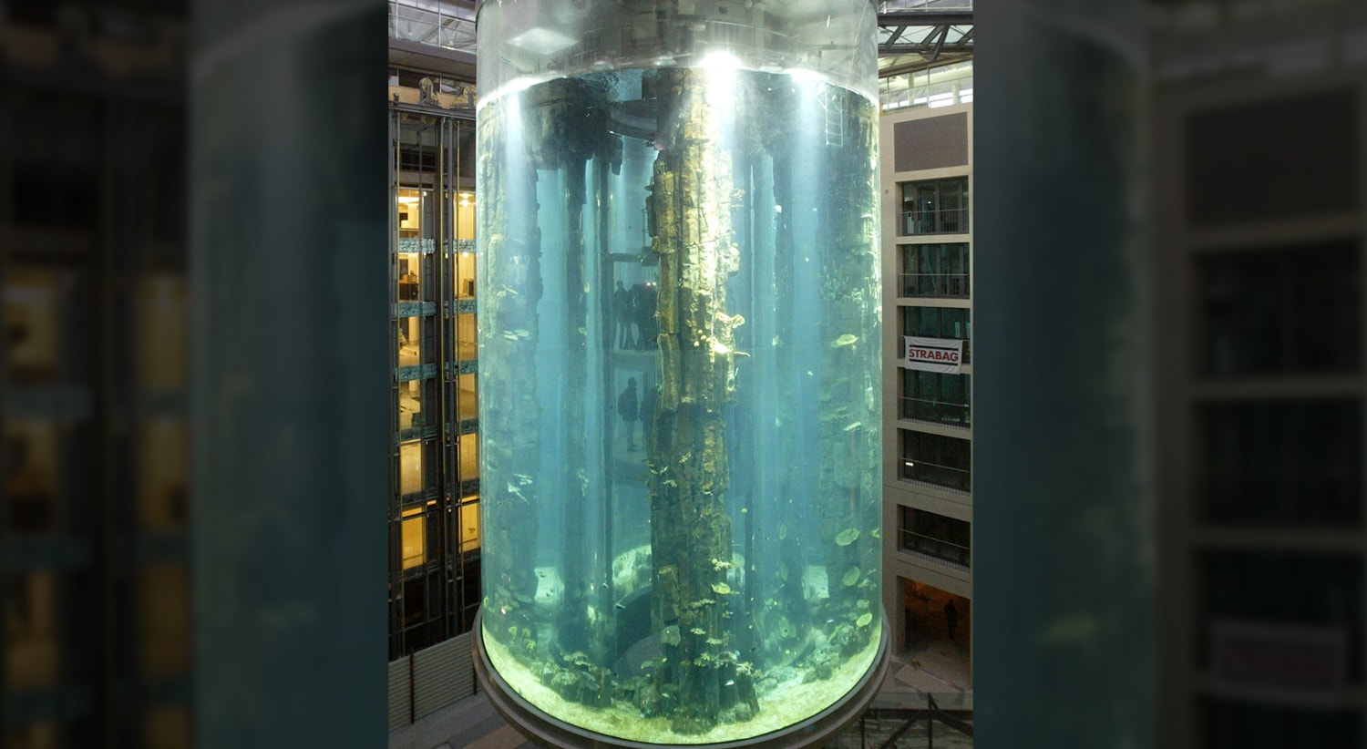  Fabrizio Bensch - Reuters (arquivo) 