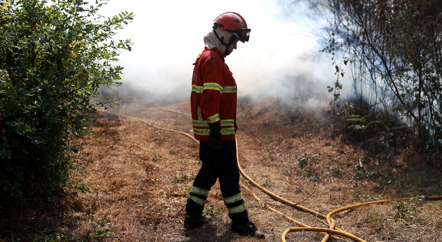 Inc�ndios em Portugal. A situa��o ao minuto