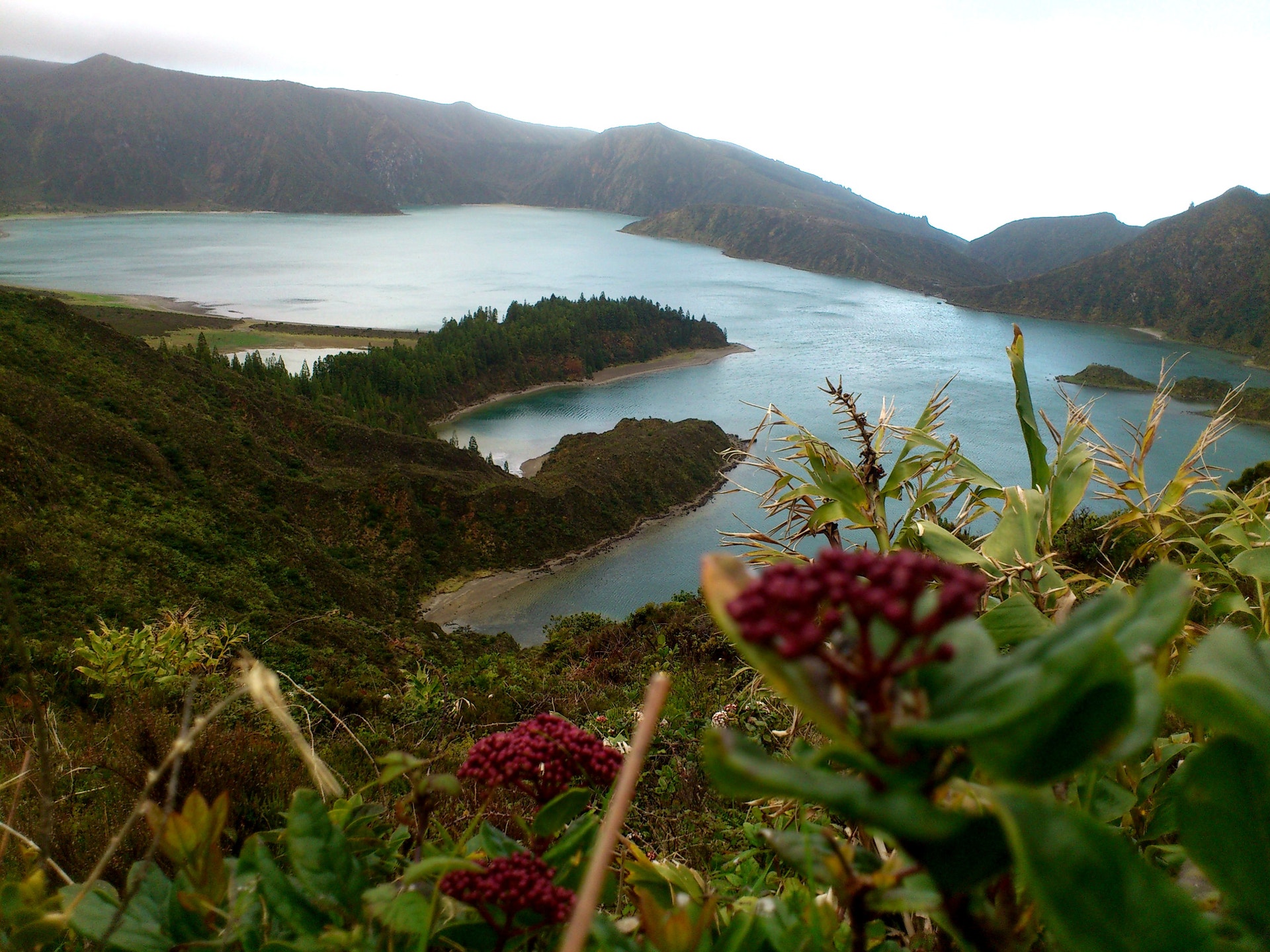  Enviada por Jo&atilde;o Fernandes  