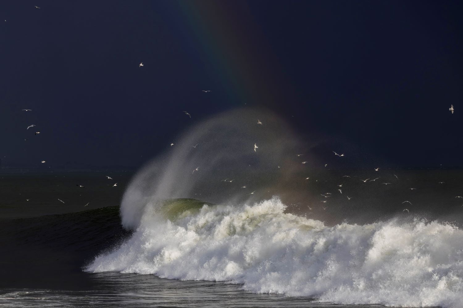 Storm Ingrid: minute-by-minute developments of deteriorating weather in Portugal