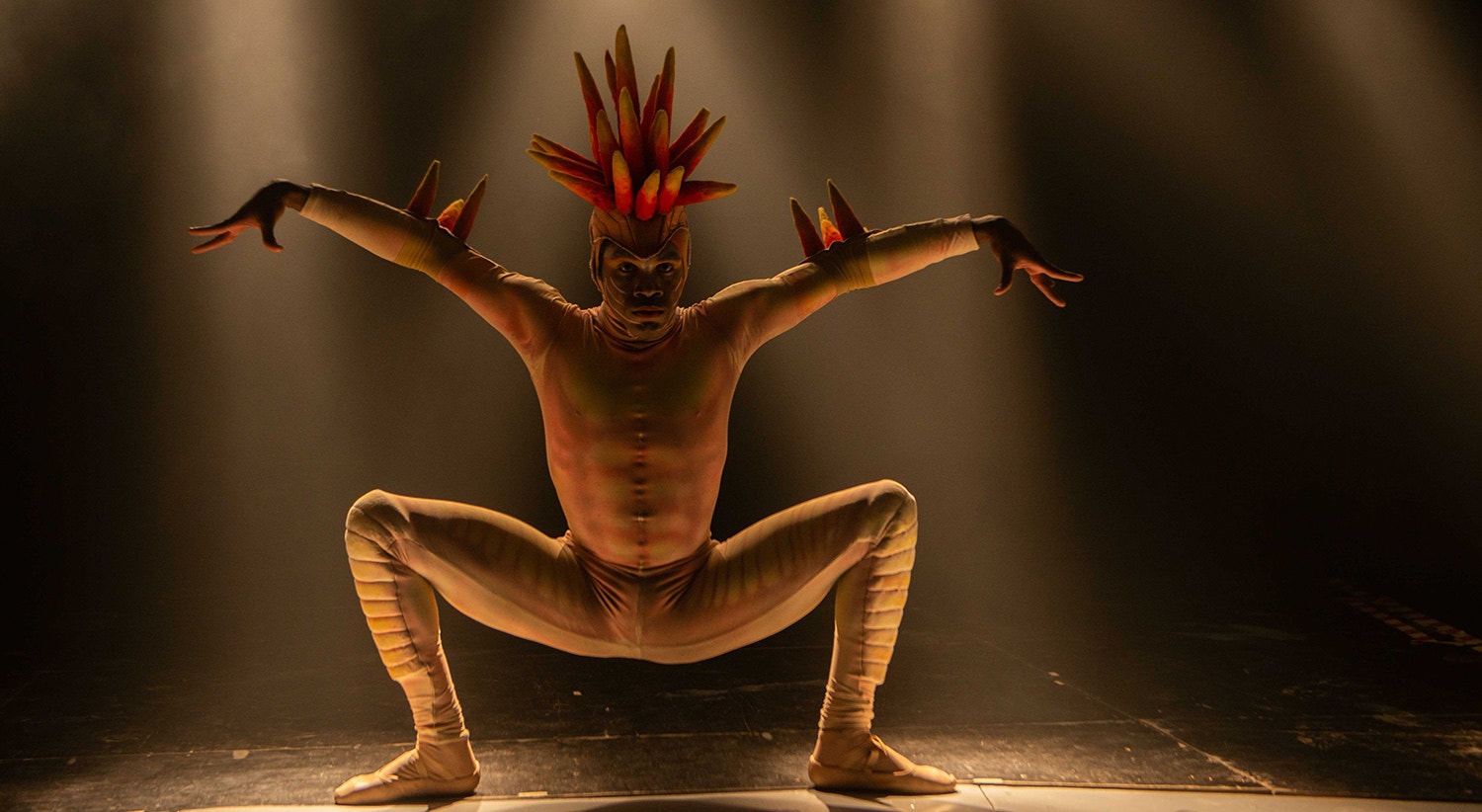  Foto: David Ara&uacute;jo - RTP 