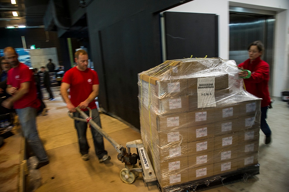  Pedro A. Pina / Ocean&aacute;rio  