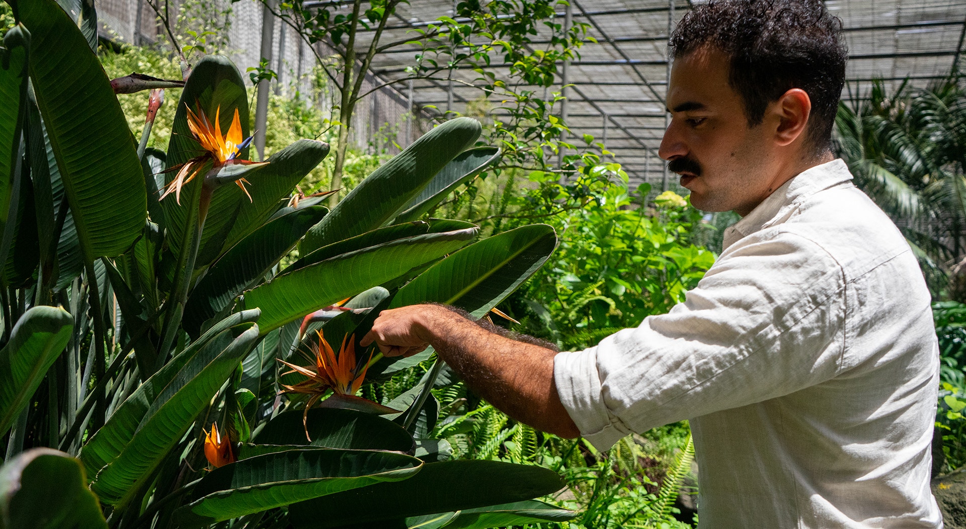  Foto: Rodrigo Lobo - RTP 