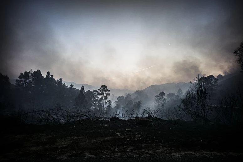 O combate ao fogo em Arcos de Valdevez deu indicações positivas nas últimas horas
