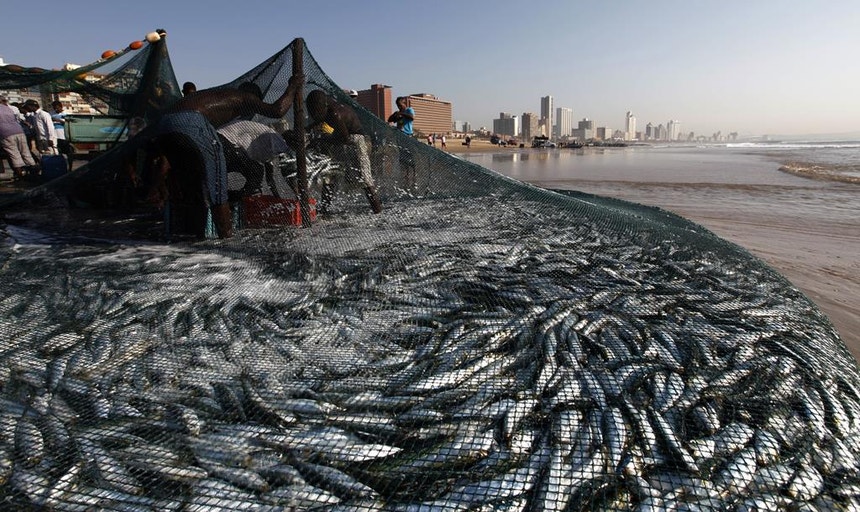 As possibilidades de pesca para 2025 analisadas em Bruxelas
