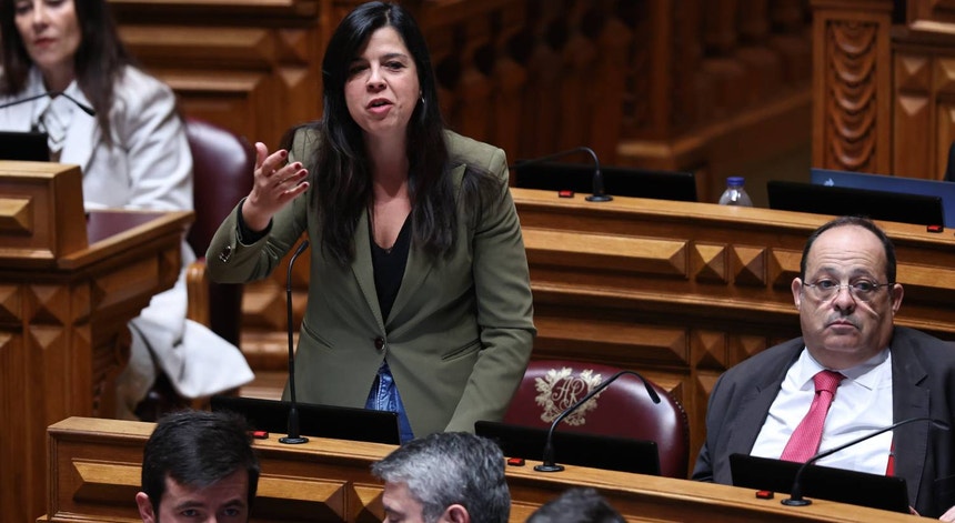 Imagem de Presidenciais. PAN não apoia nenhum candidato à primeira volta