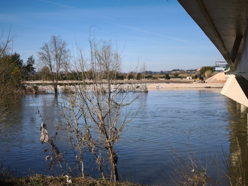 Imagem ilustrativa: Produção de hortícolas no Baixo Mondego destruída pelas cheias