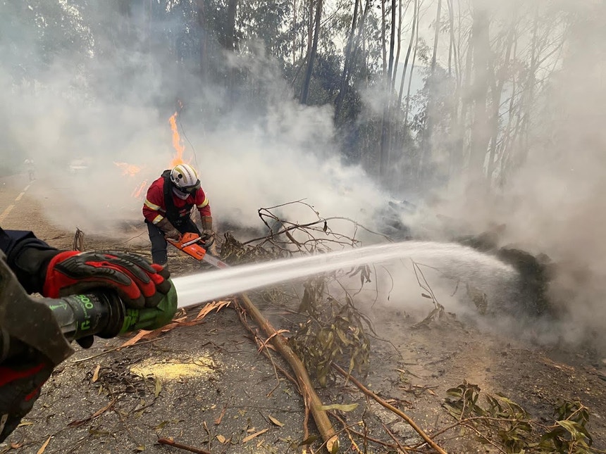Image of Arganil fire aftermath