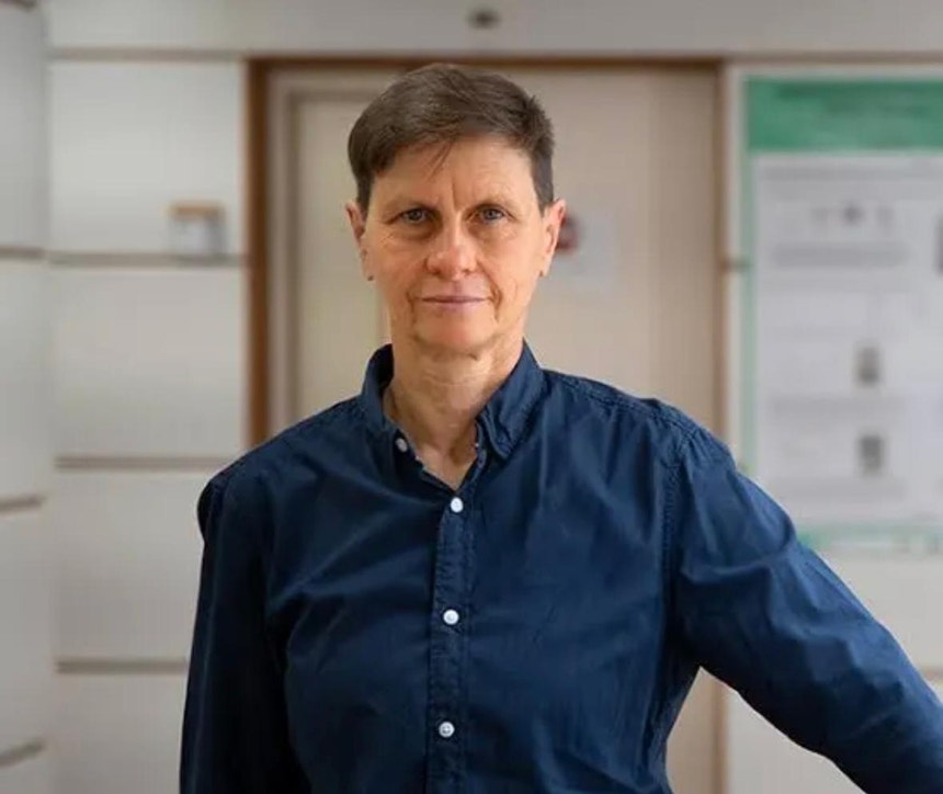 Presidenciais: Cientista Maria do Carmo Fonseca é mandatária nacional de Seguro