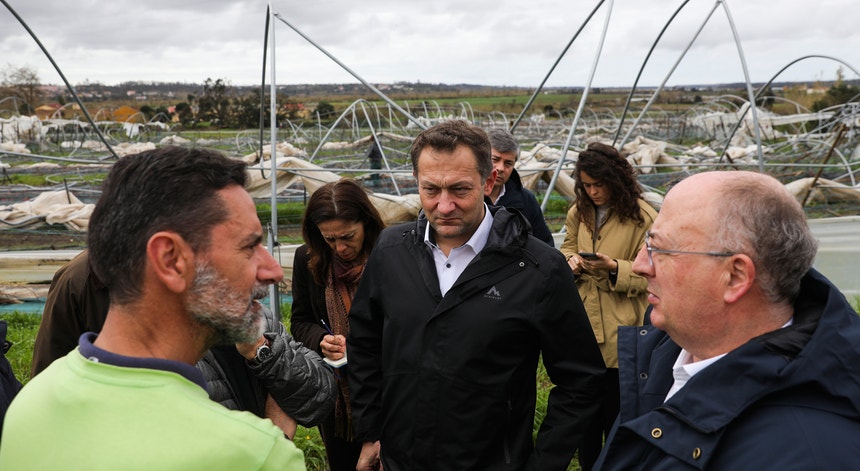 Apoios à agricultura. Limite de 400 mil euros pode ser revisto mas 