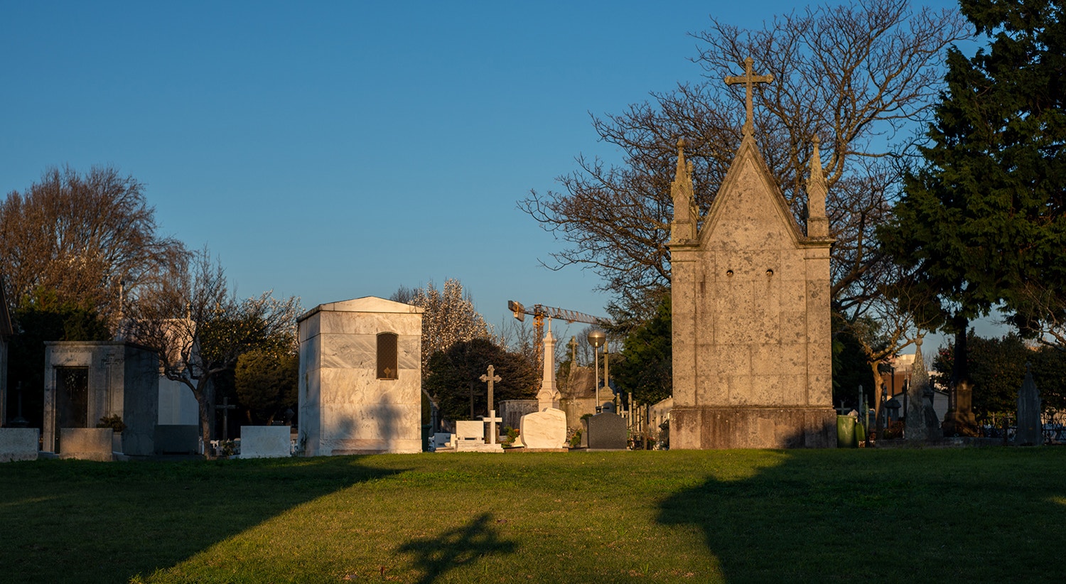  Foto: David Ara&uacute;jo - RTP  