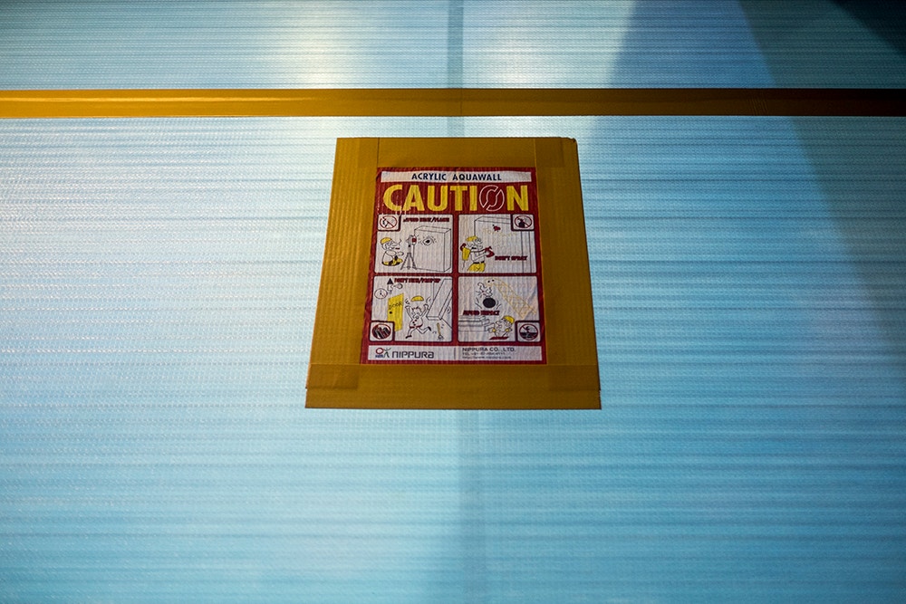  Pedro A. Pina / Ocean&aacute;rio  